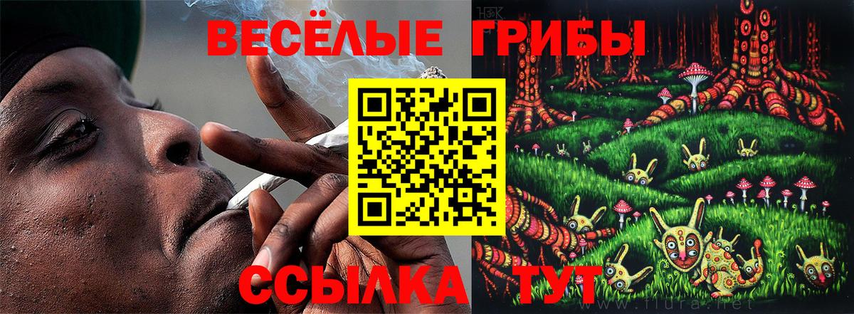 Галлюциногенные грибы Cubensis Каменск-Шахтинский
