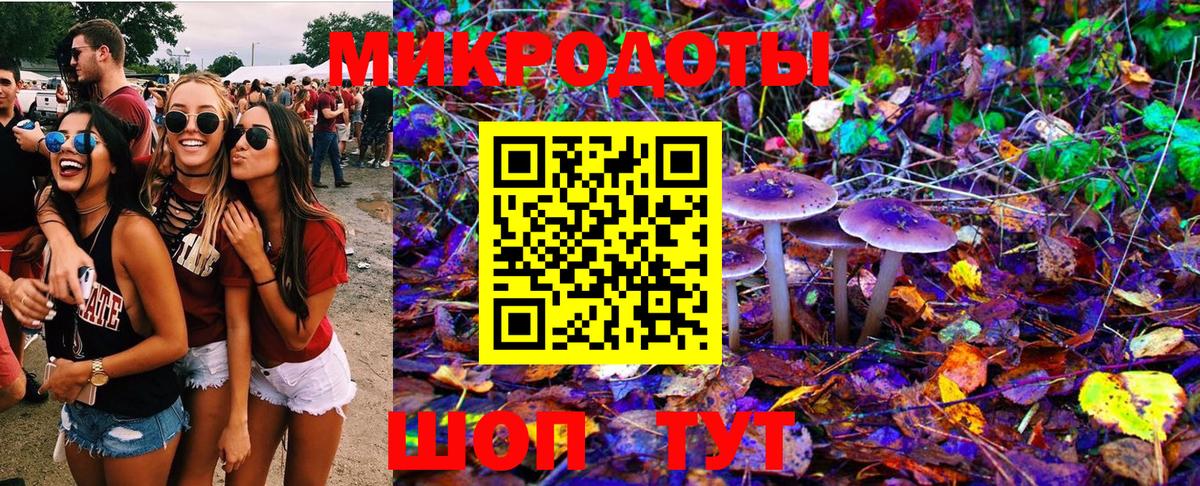 Каменск-Шахтинский  Галлюциногенные грибы Cubensis  Вход с VPN 